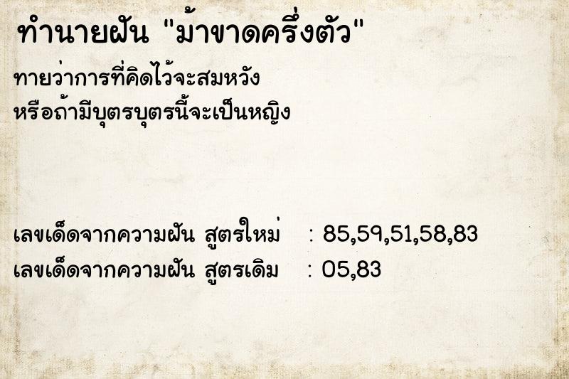 ทำนายฝัน ม้าขาดครึ่งตัว