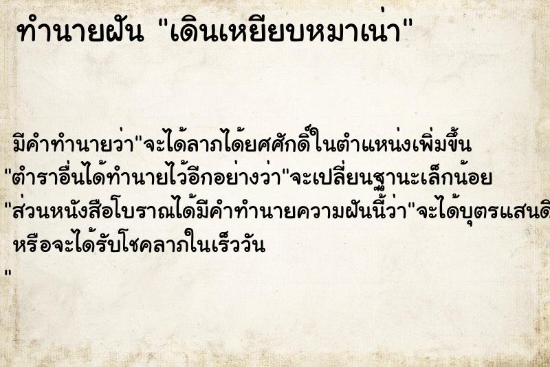 ทำนายฝัน เดินเหยียบหมาเน่า