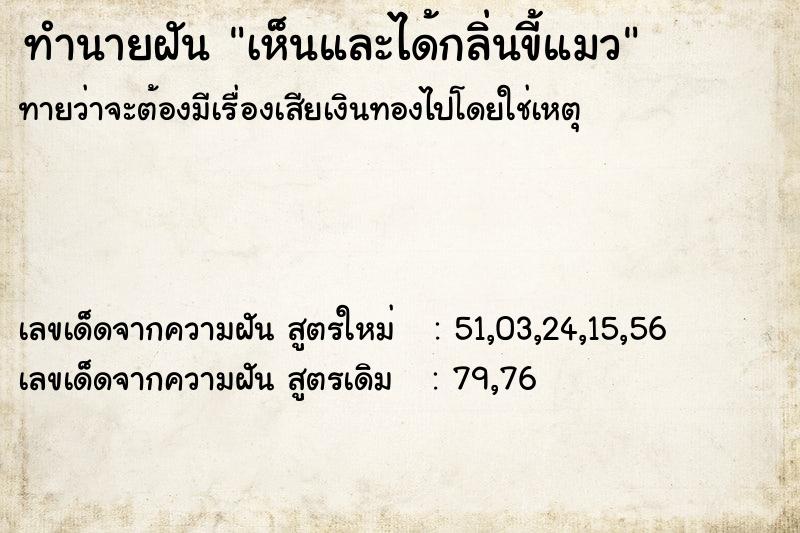 ทำนายฝัน เห็นและได้กลิ่นขี้แมว