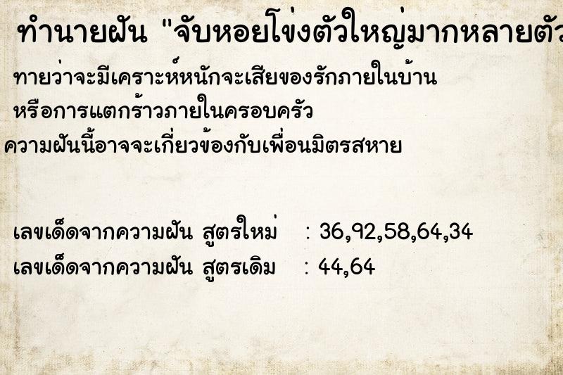 ทำนายฝัน จับหอยโข่งตัวใหญ่มากหลายตัว