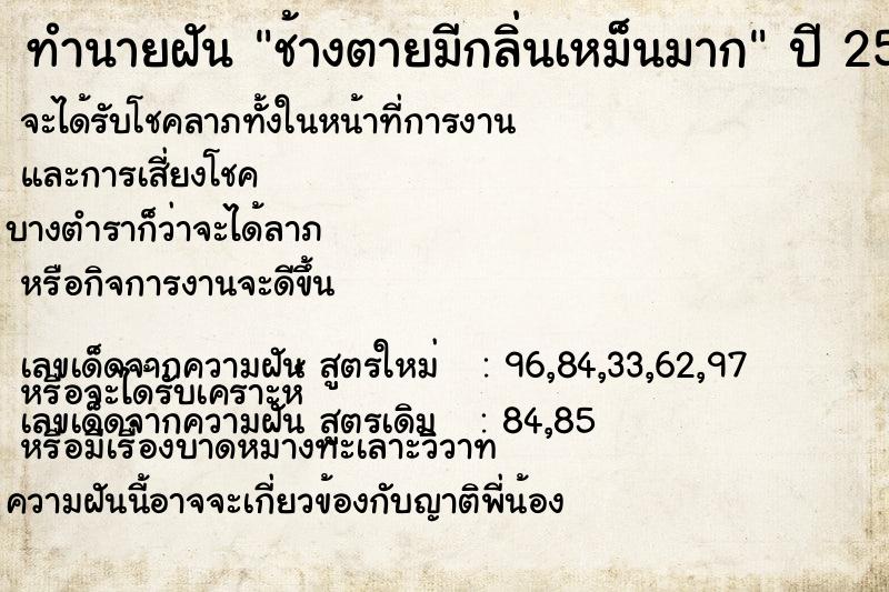 ทำนายฝัน ช้างตายมีกลิ่นเหม็นมาก