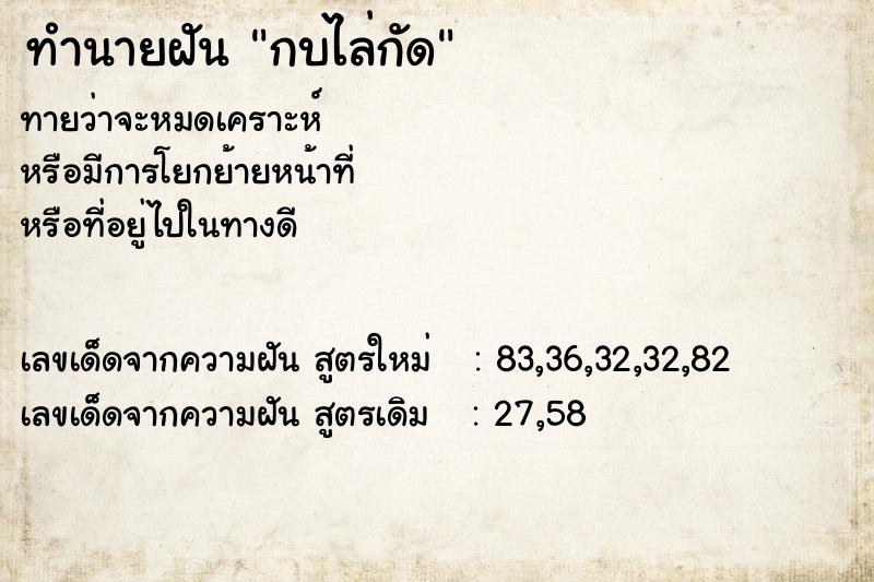 ทำนายฝัน กบไล่กัด