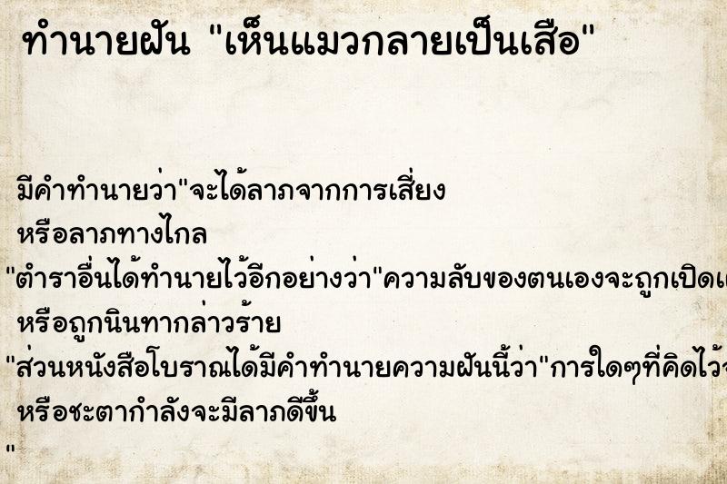 ทำนายฝัน เห็นแมวกลายเป็นเสือ  เลขนำโชค 