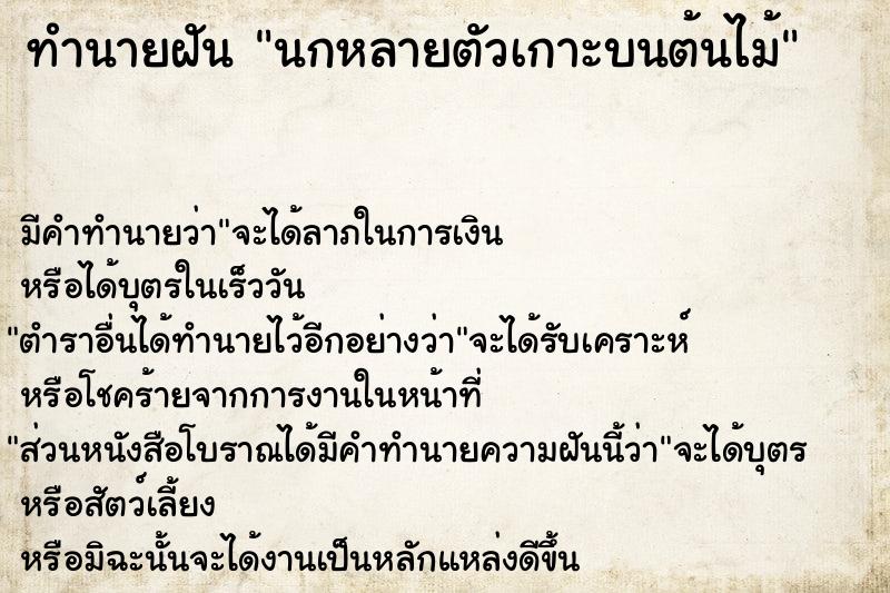 ทำนายฝัน นกหลายตัวเกาะบนต้นไม้  เลขนำโชค 