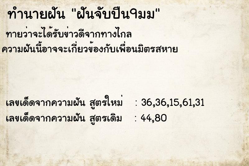 ทำนายฝัน ฝันจับปืน9มม