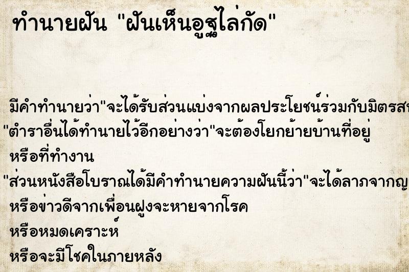 ทำนายฝัน ฝันเห็นอูฐไล่กัด