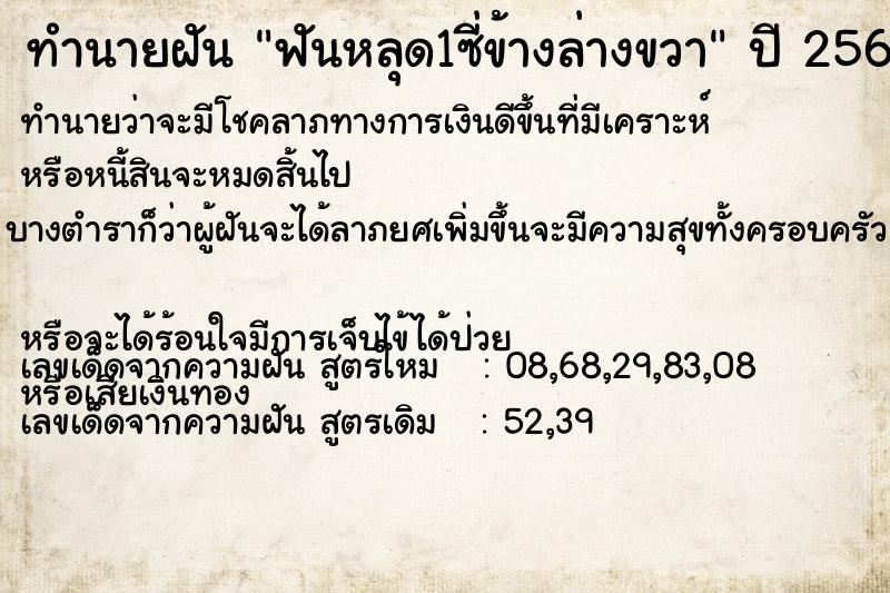 ทำนายฝัน ฟันหลุด1ซี่ข้างล่างขวา  เลขนำโชค 