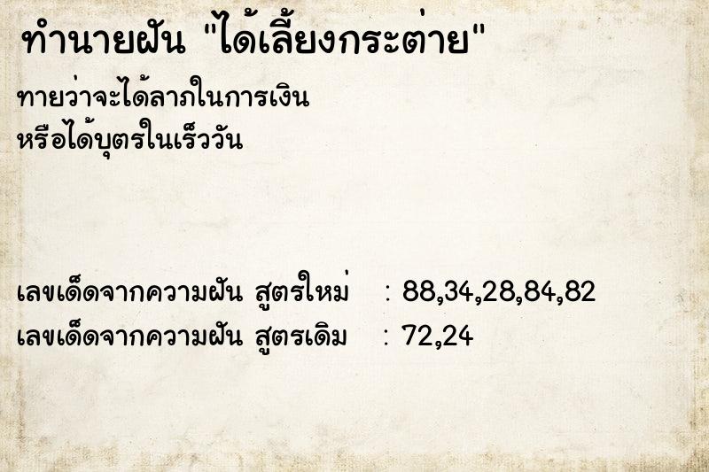 ทำนายฝัน ได้เลี้ยงกระต่าย  เลขนำโชค 