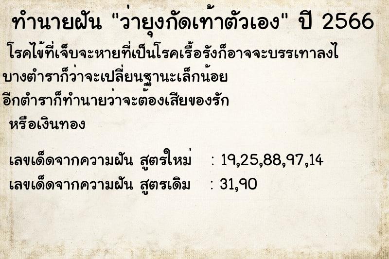 ทำนายฝัน ว่ายุงกัดเท้าตัวเอง