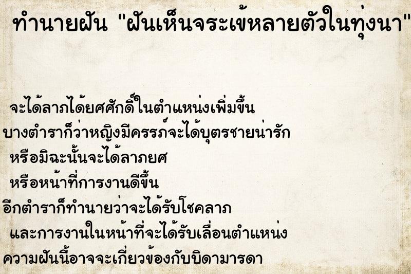 ทำนายฝัน ฝันเห็นจระเข้หลายตัวในทุ่งนา