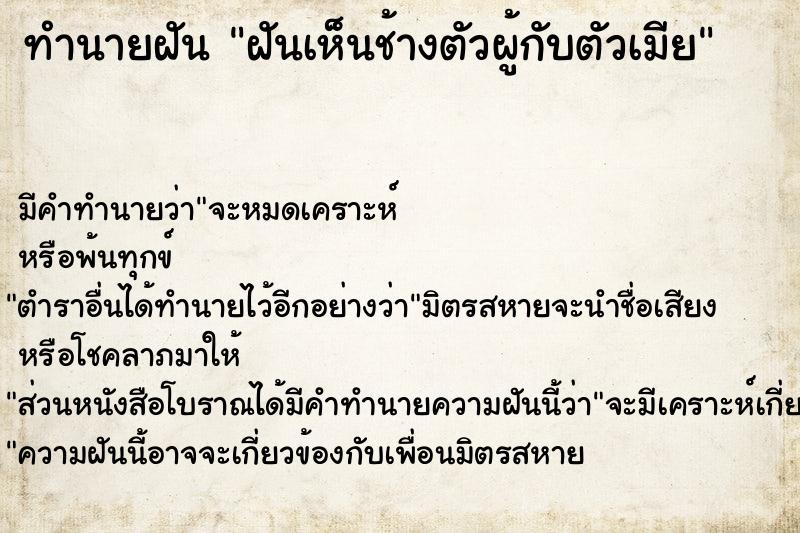 ทำนายฝัน ฝันเห็นช้างตัวผู้กับตัวเมีย