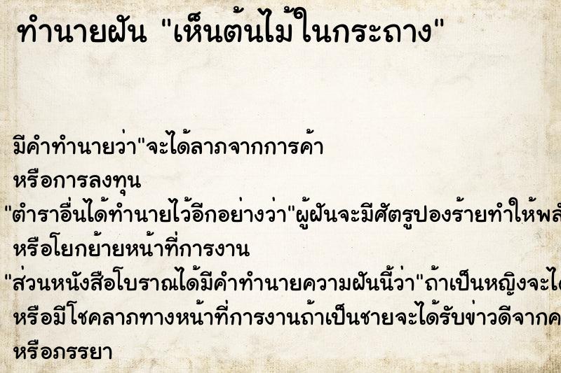 ทำนายฝัน #ทำนายฝัน #เห็นต้นไม้ในกระถาง  เลขนำโชค 