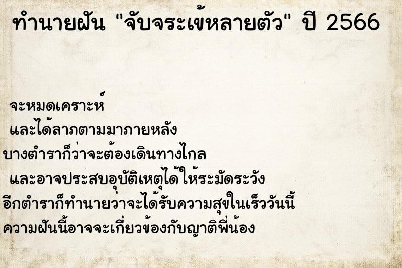 ทำนายฝัน จับจระเข้หลายตัว