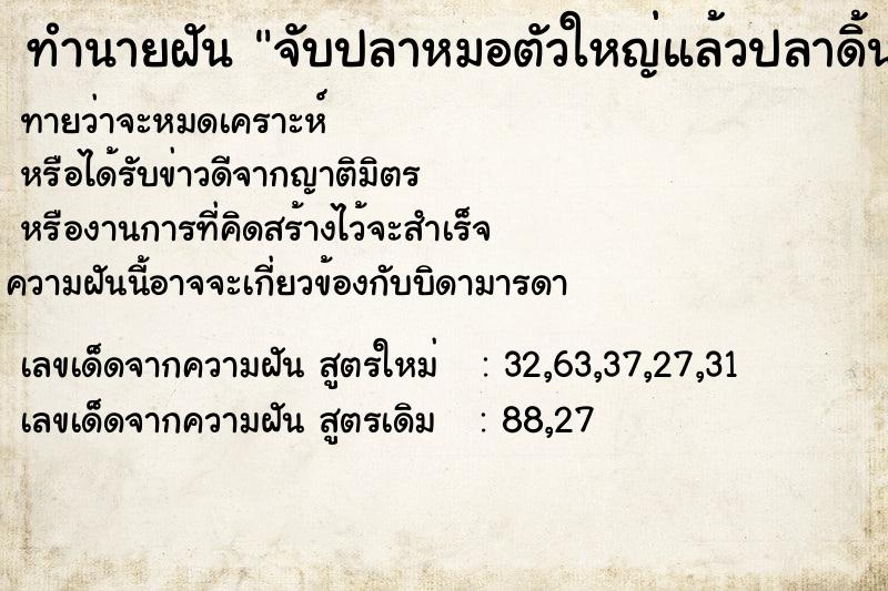 ทำนายฝัน จับปลาหมอตัวใหญ่แล้วปลาดิ้นหลุดมือ