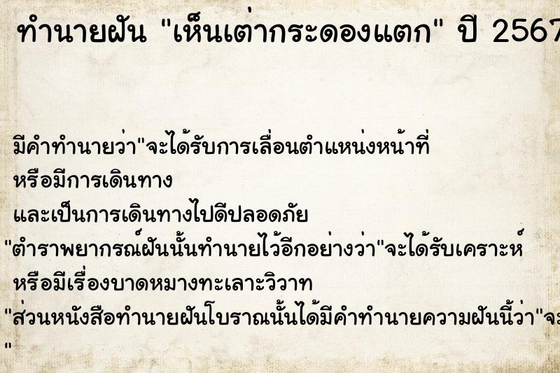 ทำนายฝัน เห็นเต่ากระดองแตก  เลขนำโชค 