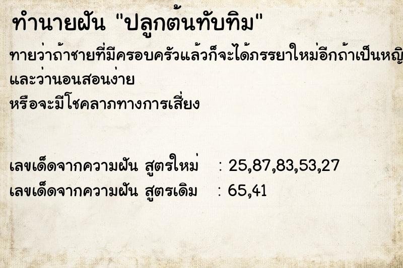 ทำนายฝัน ปลูกต้นทับทิม  เลขนำโชค 