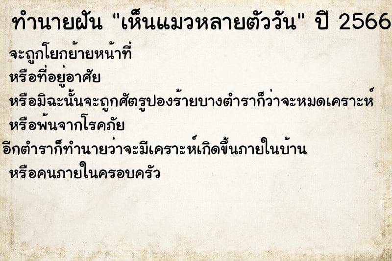 ทำนายฝัน เห็นแมวหลายตัววัน