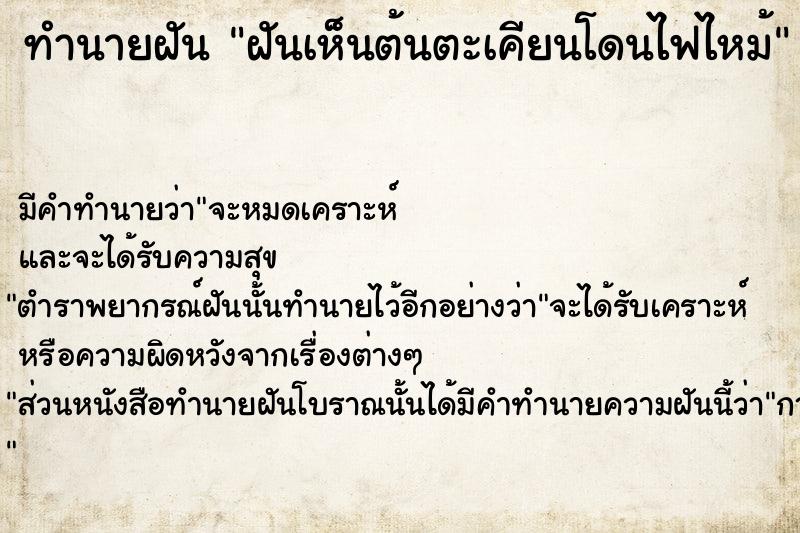 ทำนายฝัน ฝันเห็นต้นตะเคียนโดนไฟไหม้