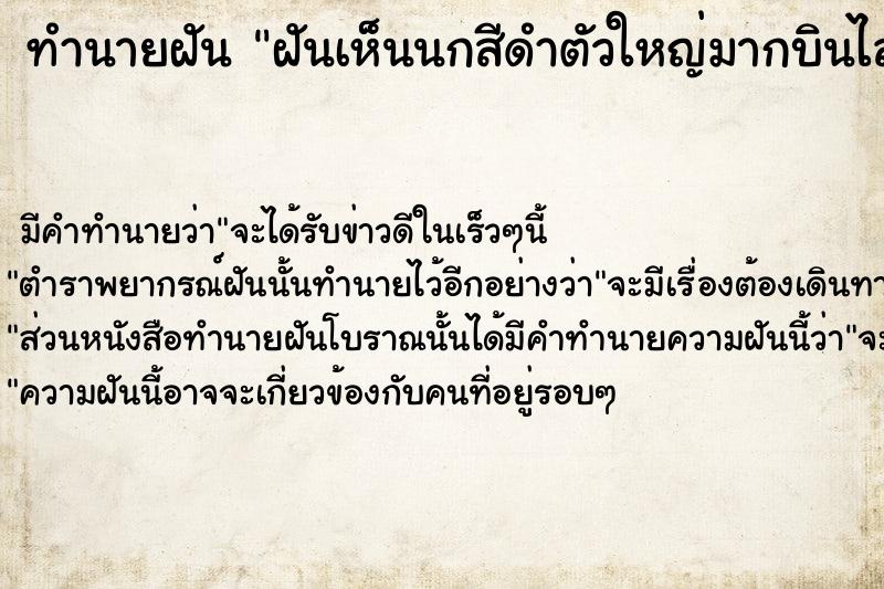 ทำนายฝัน ฝันเห็นนกสีดำตัวใหญ่มากบินไล่ตามทำร้าย