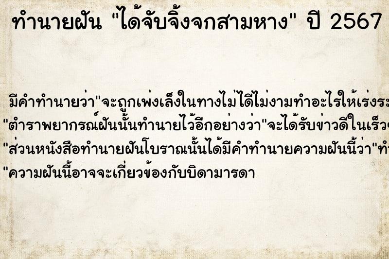 ทำนายฝัน ได้จับจิ้งจกสามหาง