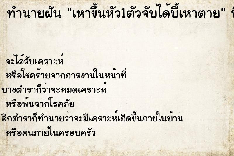 ทำนายฝัน เหาขึ้นหัว1ตัวจับได้บี้เหาตาย