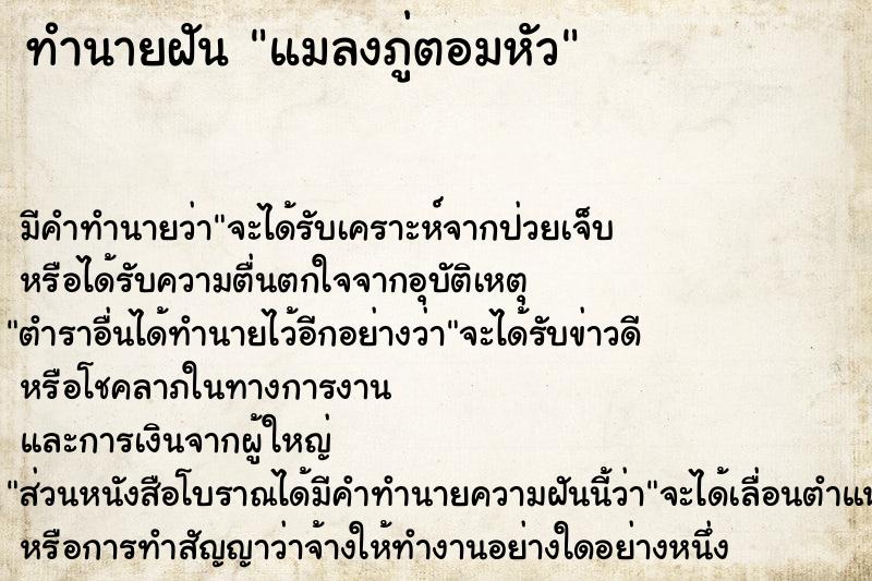 ทำนายฝัน แมลงภู่ตอมหัว