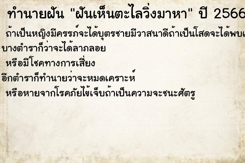 ทำนายฝัน ฝันเห็นตะไลวิ่งมาหา