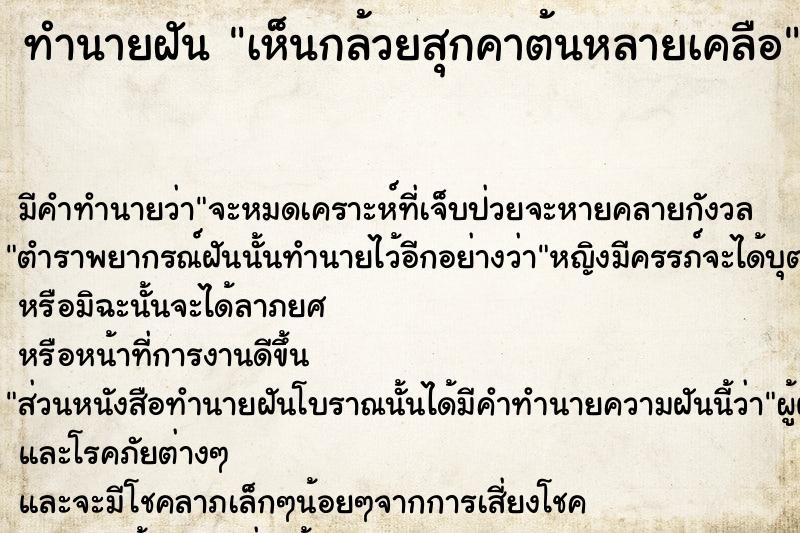 ทำนายฝัน เห็นกล้วยสุกคาต้นหลายเคลือ  เลขนำโชค 