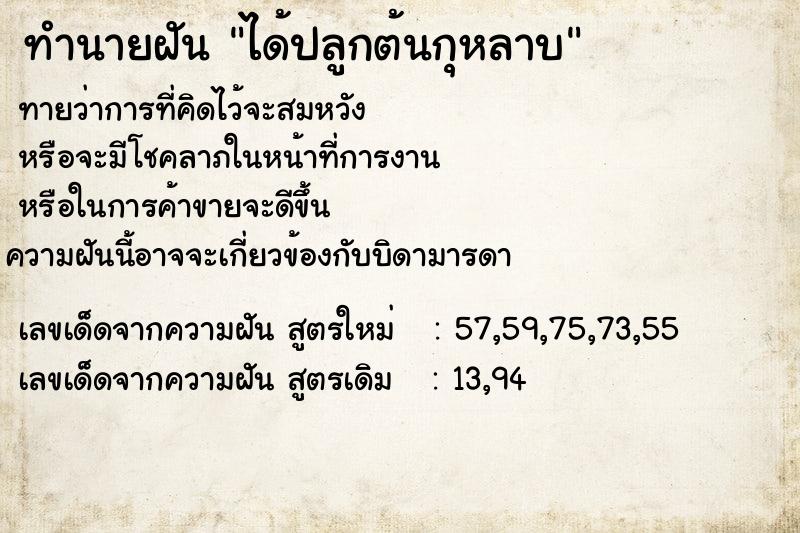 ทำนายฝัน ได้ปลูกต้นกุหลาบ