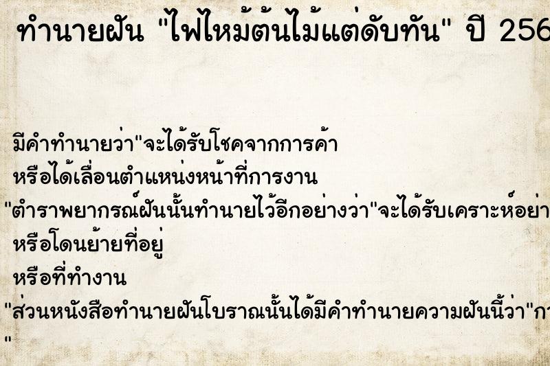 ทำนายฝัน ไฟไหม้ต้นไม้แต่ดับทัน  เลขนำโชค 