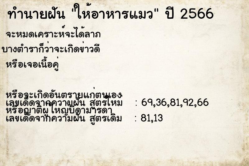 ทำนายฝัน ให้อาหารแมว  เลขนำโชค 