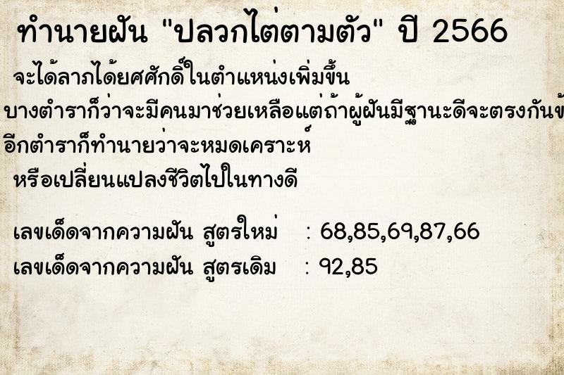 ทำนายฝัน ปลวกไต่ตามตัว