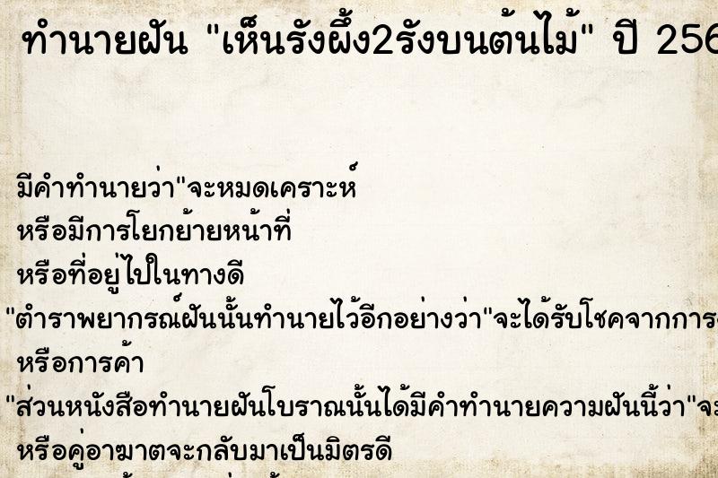 ทำนายฝัน เห็นรังผึ้ง2รังบนต้นไม้  เลขนำโชค 