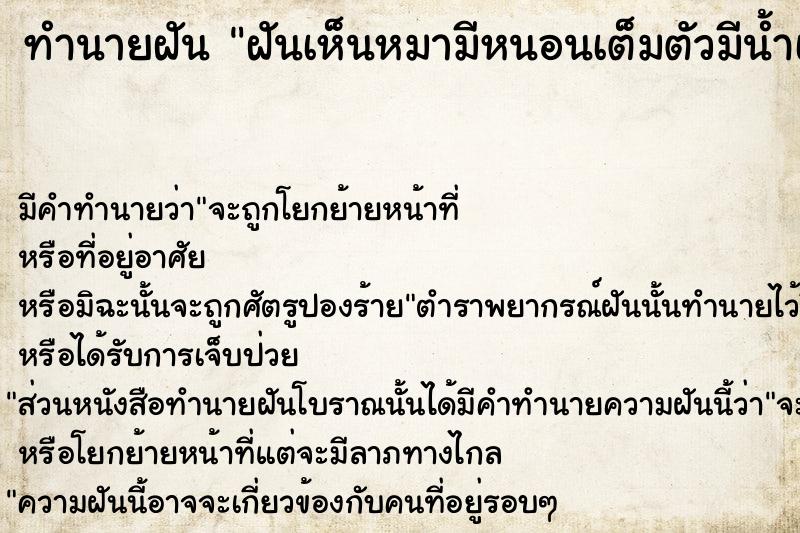 ทำนายฝัน ฝันเห็นหมามีหนอนเต็มตัวมีน้ำเหลือง