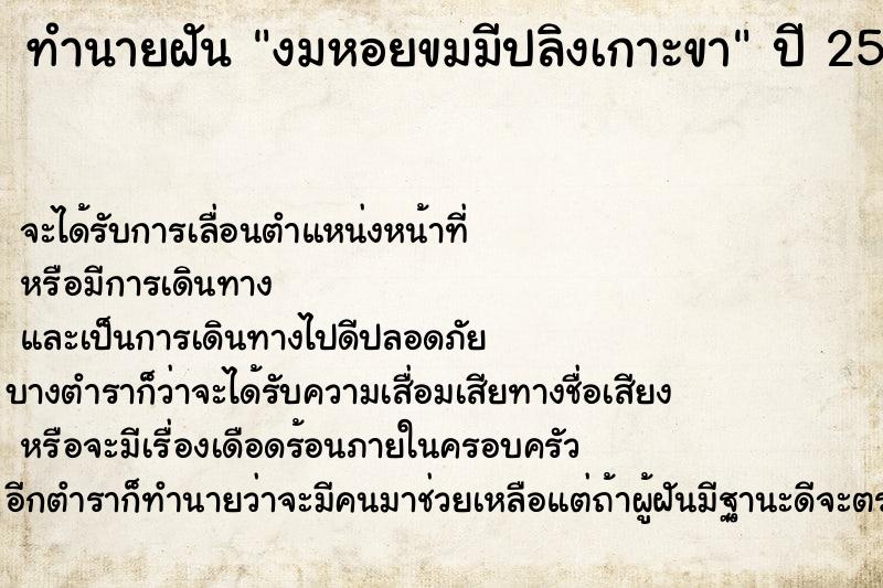 ทำนายฝัน งมหอยขมมีปลิงเกาะขา