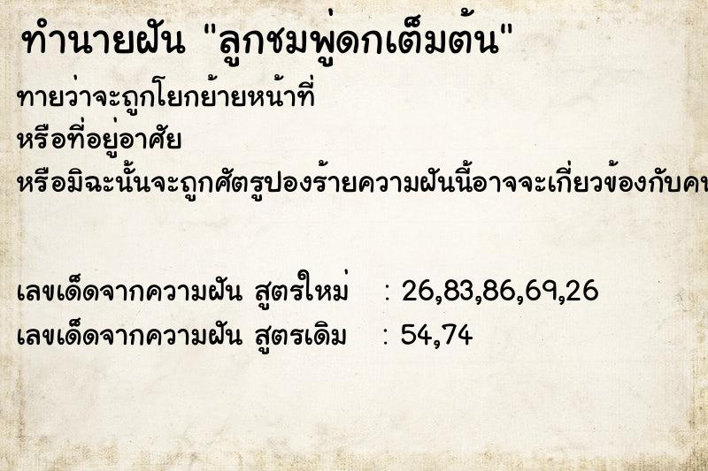 ทำนายฝัน ลูกชมพู่ดกเต็มต้น  เลขนำโชค 