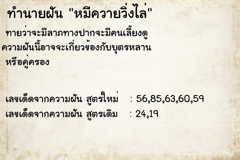 ทำนายฝัน หมีควายวิ่งไล่