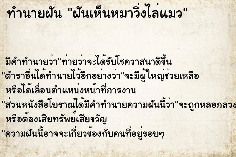 ทำนายฝัน ฝันเห็นหมาวิ่งไล่แมว