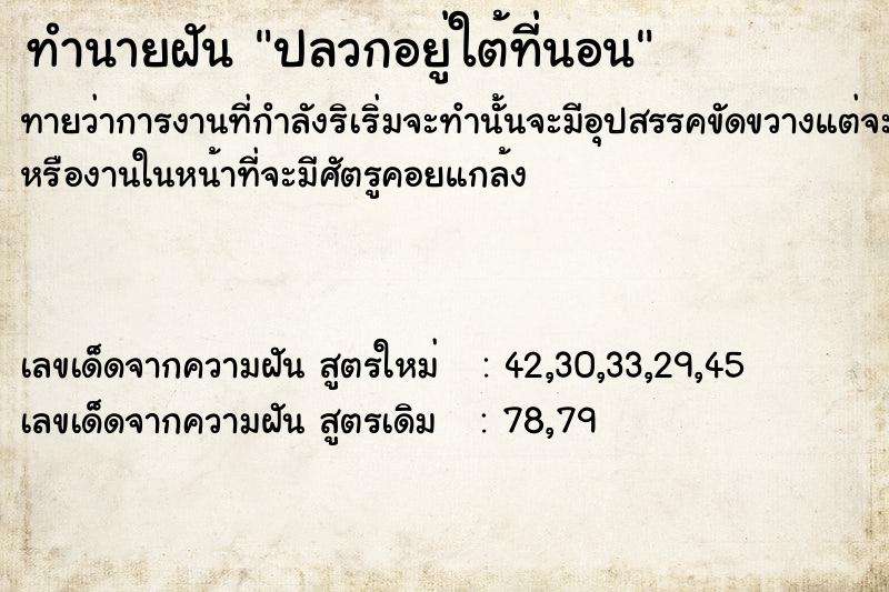 ทำนายฝัน ปลวกอยู่ใต้ที่นอน