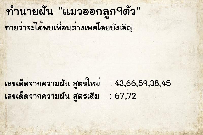 ทำนายฝัน แมวออกลูก9ตัว