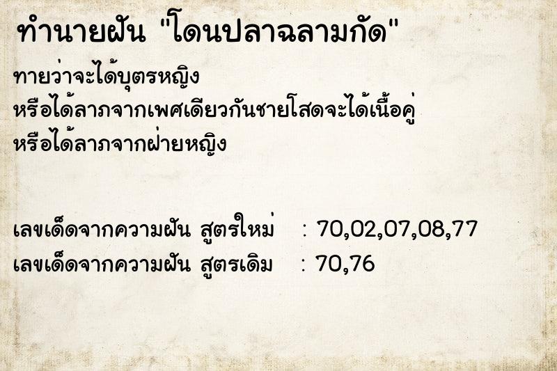 ทำนายฝัน โดนปลาฉลามกัด  เลขนำโชค 