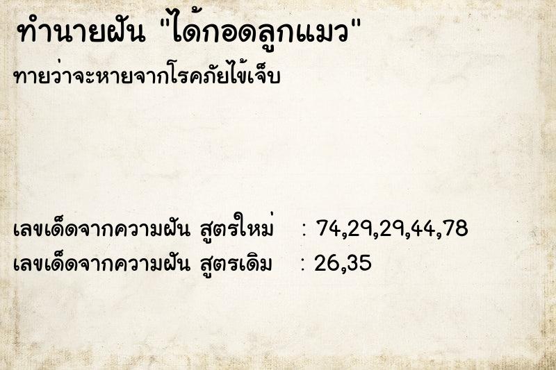 ทำนายฝัน ได้กอดลูกแมว  เลขนำโชค 