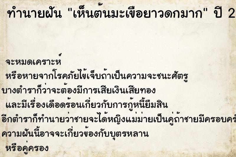 ทำนายฝัน เห็นต้นมะเขือยาวดกมาก