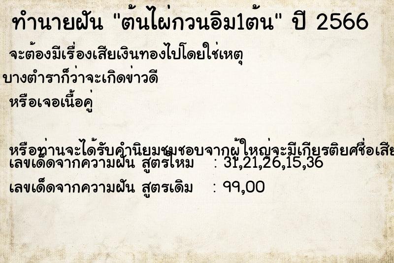 ทำนายฝัน ต้นไผ่กวนอิม1ต้น