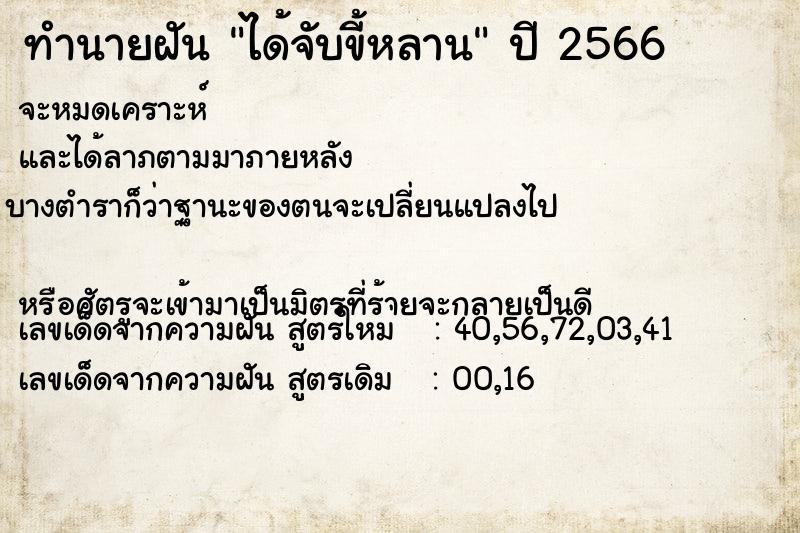 ทำนายฝัน ได้จับขี้หลาน  เลขนำโชค 