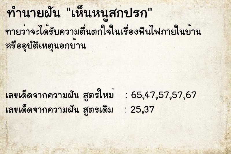 ทำนายฝัน เห็นหนูสกปรก  เลขนำโชค 