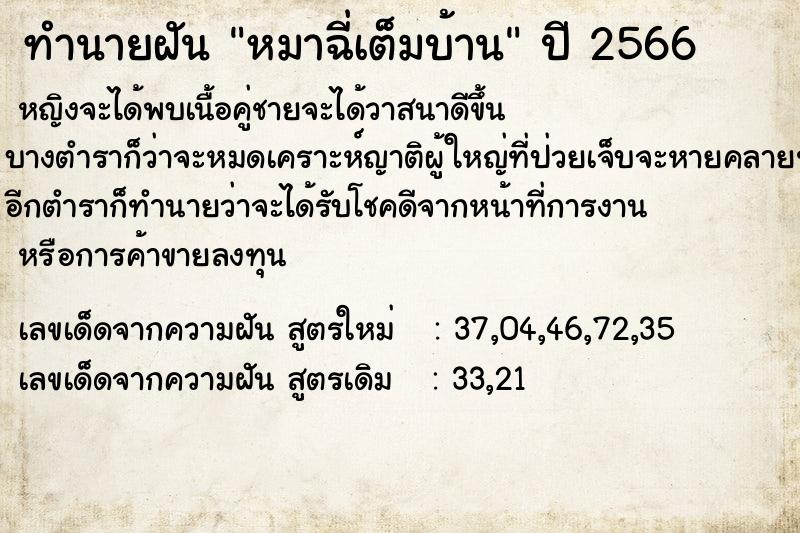 ทำนายฝัน หมาฉี่เต็มบ้าน  เลขนำโชค 