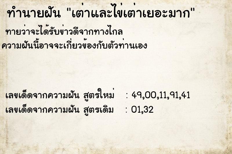 ทำนายฝัน เต่าและไข่เต่าเยอะมาก