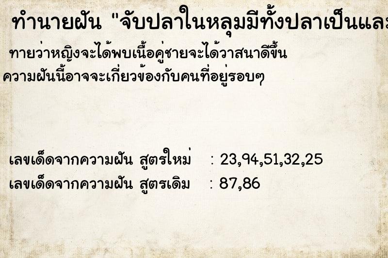 ทำนายฝัน จับปลาในหลุมมีทั้งปลาเป็นและปลาตาย