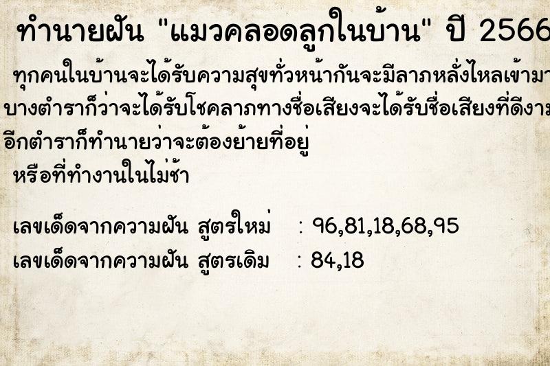 ทำนายฝัน แมวคลอดลูกในบ้าน  เลขนำโชค 